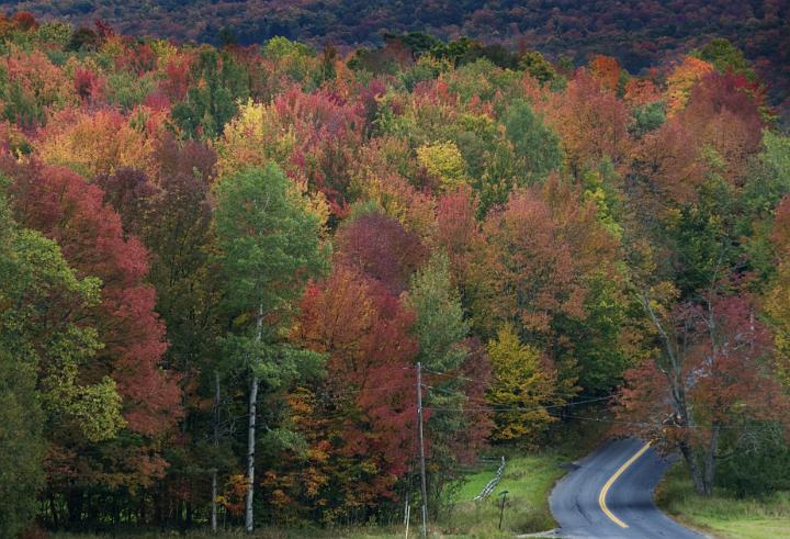 01 Lincoln Gap 6233.jpg